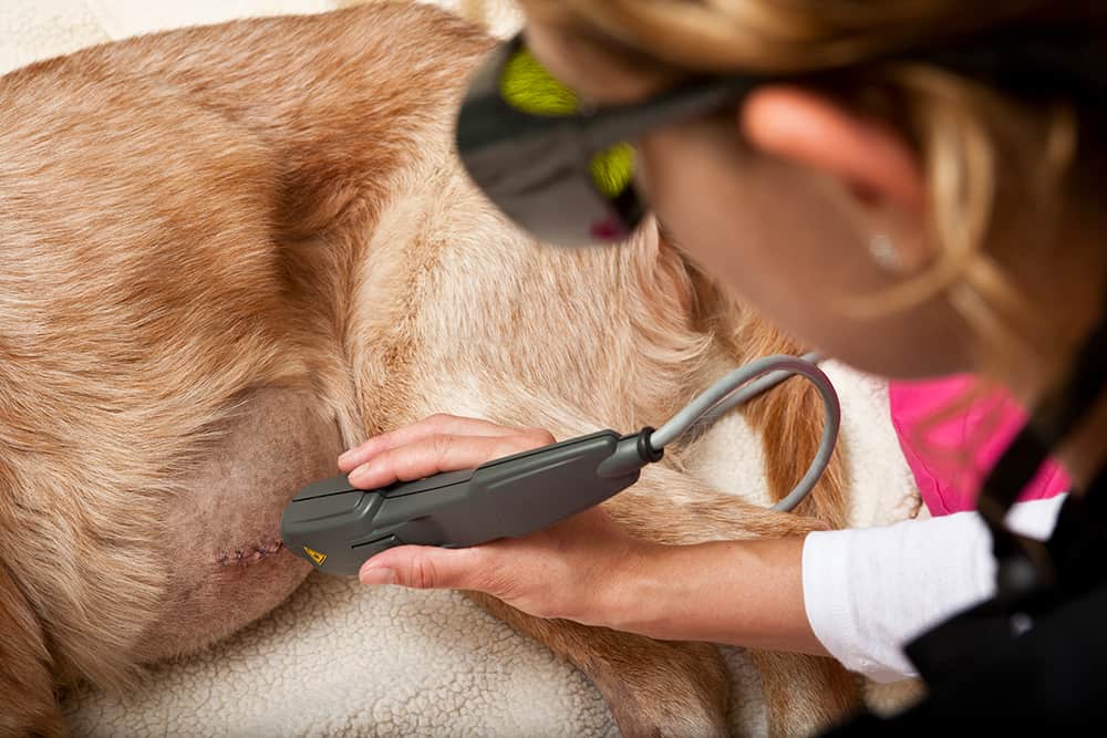 Laser Therapy