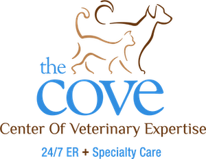 Center of Veterinary Expertise